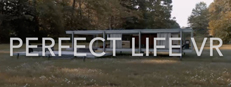 Perfect Life VR