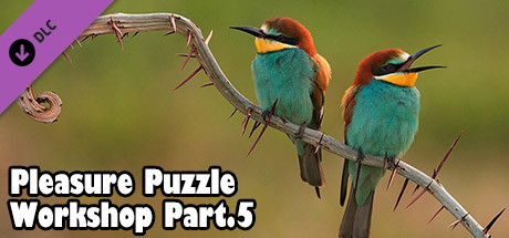 Pleasure Puzzle:Workshop - Part 5 banner image