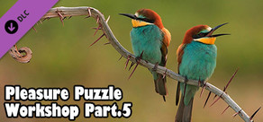 Pleasure Puzzle:Workshop - Part 5