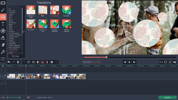 Movavi Video Editor 15 Plus Effects - Family Set