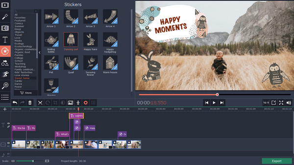 Movavi Video Editor 15 Plus Effects - Family Set