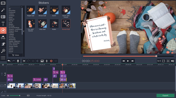 Movavi Video Editor 15 Plus Effects - Seasons Set
