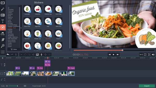 Movavi Video Editor 15 Plus Effects - Eco Set