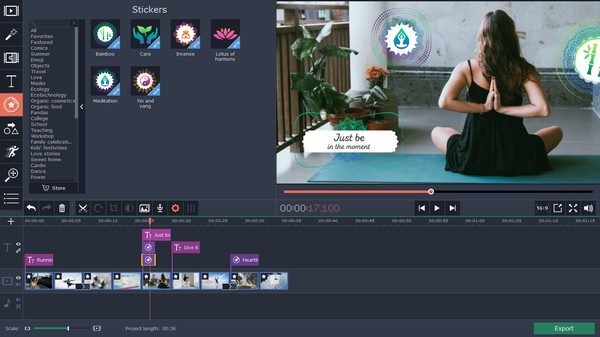 Movavi Video Editor 15 Plus Effects - Fitness Set