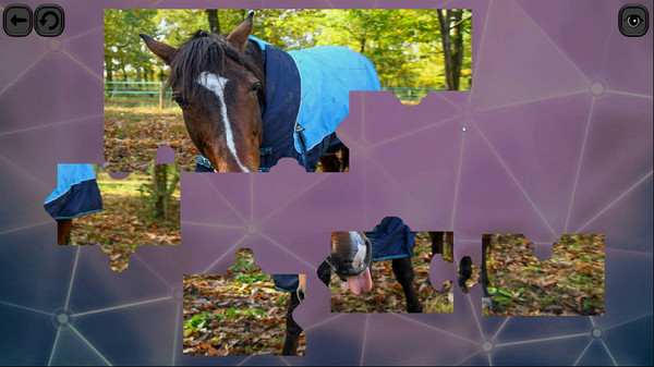 Puzzles for smart: Horses.