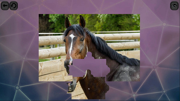 Puzzles for smart: Horses.