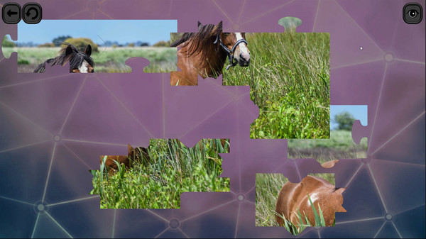 Puzzles for smart: Horses.