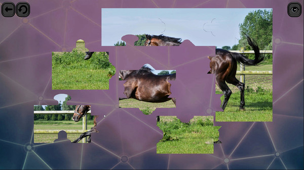 Puzzles for smart: Horses.