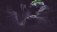 Screenshot #8