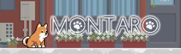 Montaro RE video 1