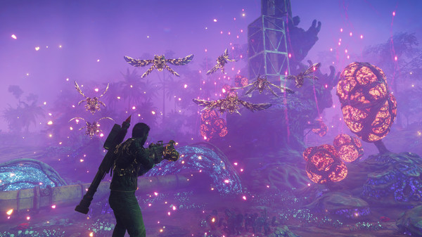 Full Size Image