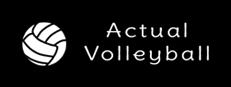 Actual Volleyball