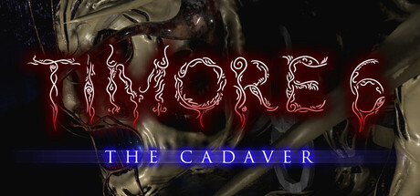 Timore 6 header banner