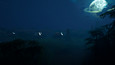 Screenshot #7