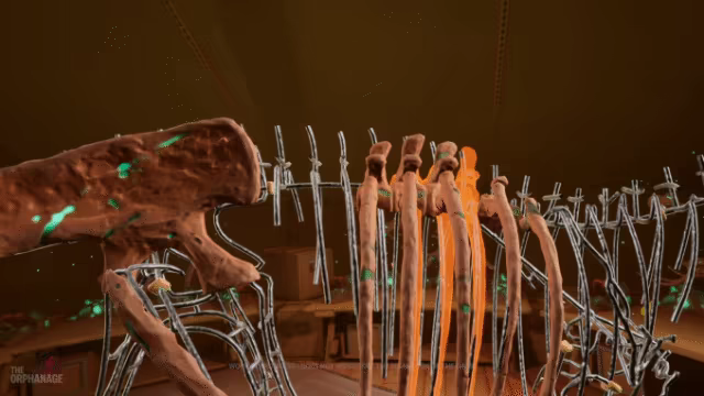 Fossil Diggers VR video 1