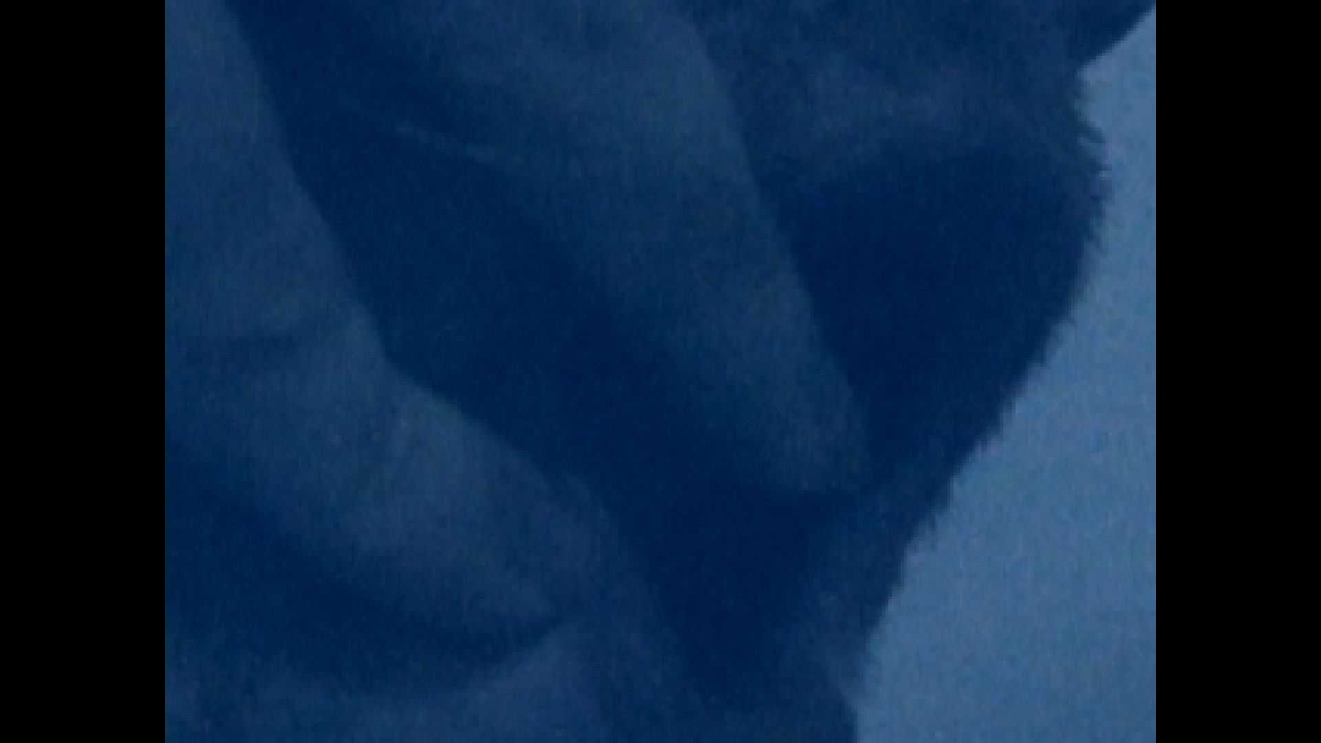 #6. HORSE (Steam) 来自: cornthea