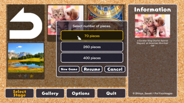 Jigsaw Masterpieces — 2