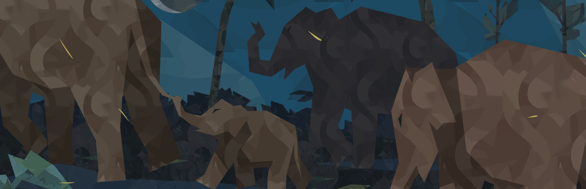 Shelter 3