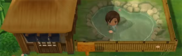 STORY OF SEASONS: Friends of Mineral Town video 2