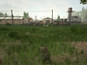 Screenshot #7