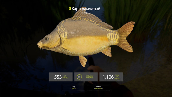 Russian Fishing 4 - Amber Lake