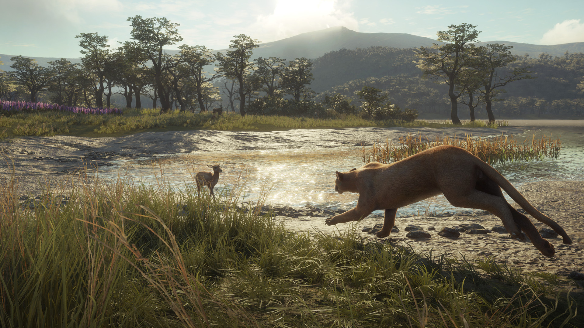 theHunter: Call of the Wild™ - Parque Fernando Featured Screenshot #1