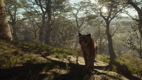 KHAiHOM.com - theHunter: Call of the Wild™ - Parque Fernando