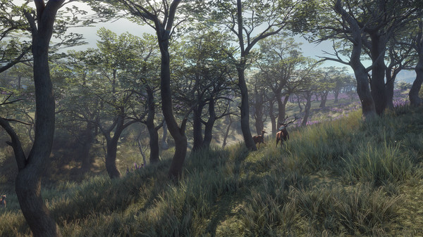 KHAiHOM.com - theHunter: Call of the Wild™ - Parque Fernando