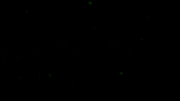 The Vale: Shadow of the Crown screenshot 4