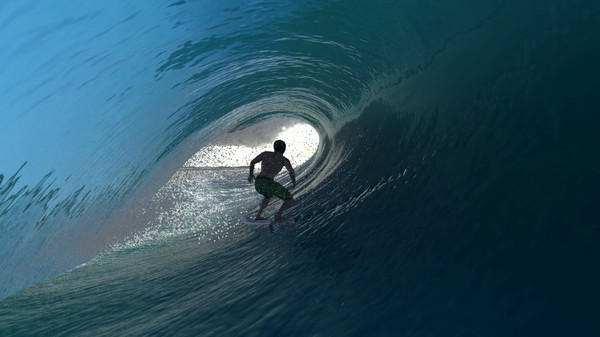 Virtual Surfing Screenshot