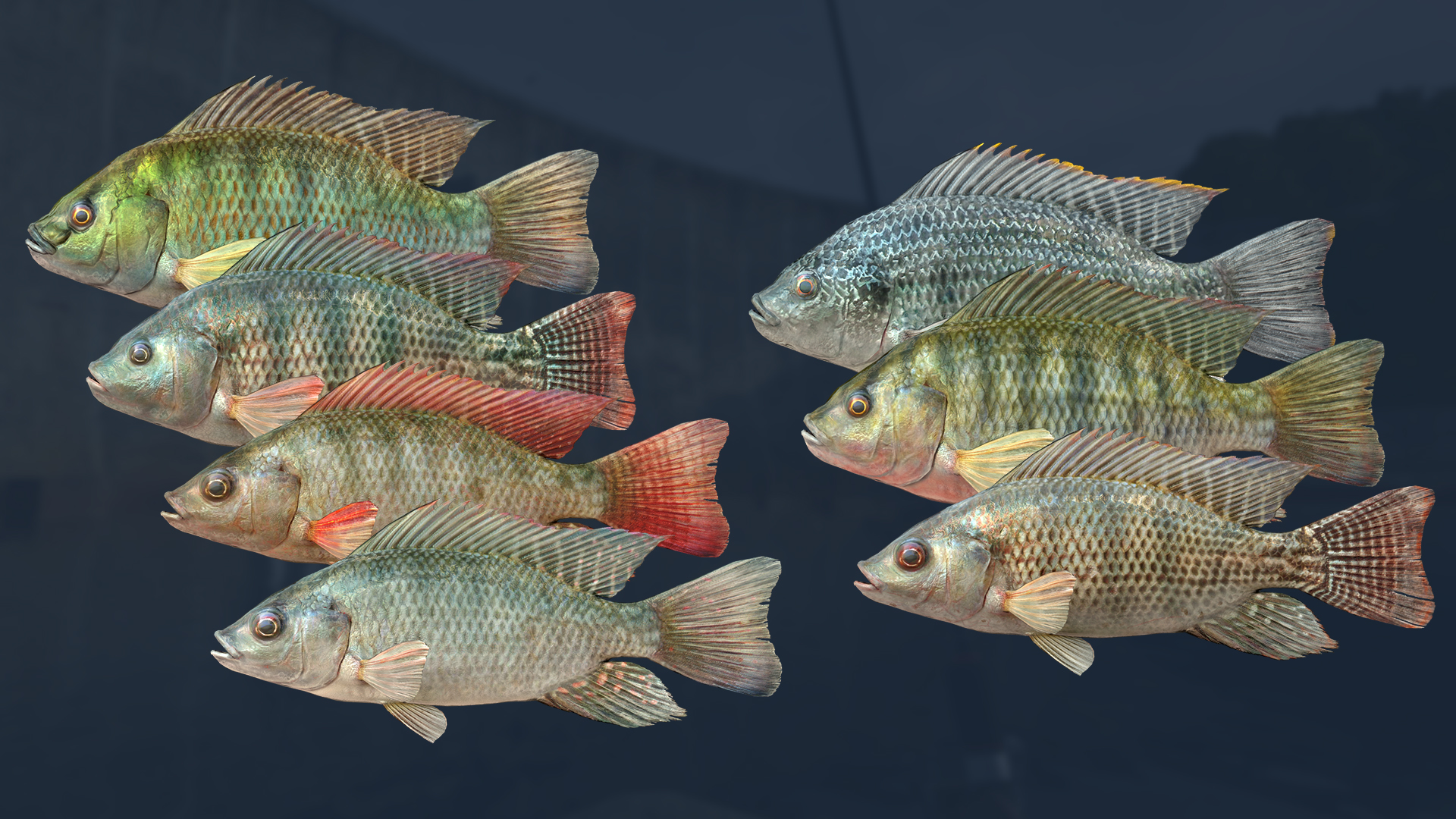 Ultimate Fishing® Simulator - Kariba Dam DLC screenshot