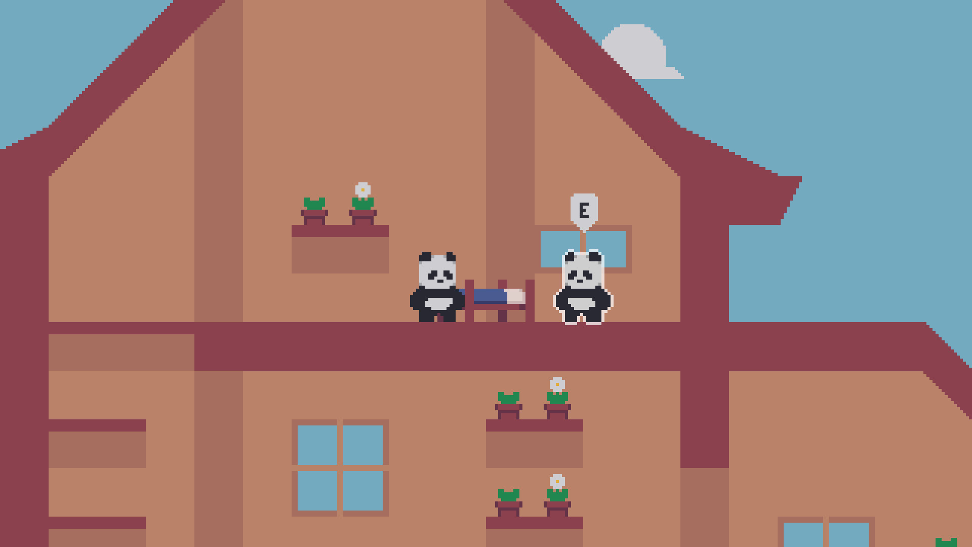 CoderBear