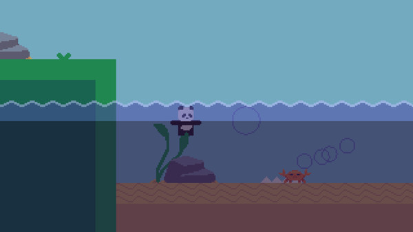 CoderBear screenshot 4