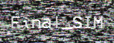 Final_SIM
