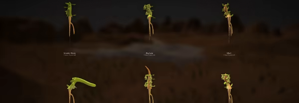 The Sapling video 5