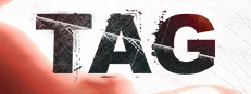 Tag game capsule image
