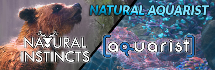 Natural Instincts in Aquarium