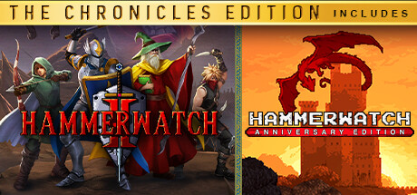 Hammerwatch Anniversary Edition Steam Charts and Player Count Stats