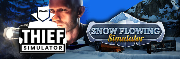 Thief and Snow Plowing