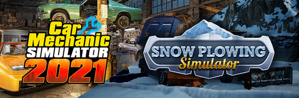Car Mechanic and Snow Plowing