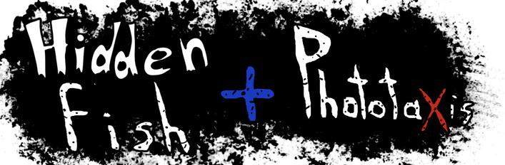 Hidden Fish + PhototaXis