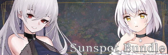 Sunspot Bundle