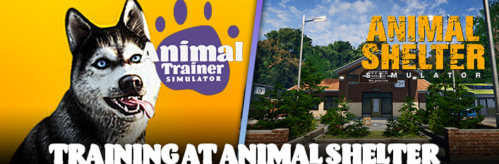 Training at Animal Shelter