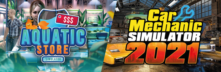 Car Mechanic in Aquatic Store