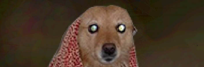 Spytihněv's Collection