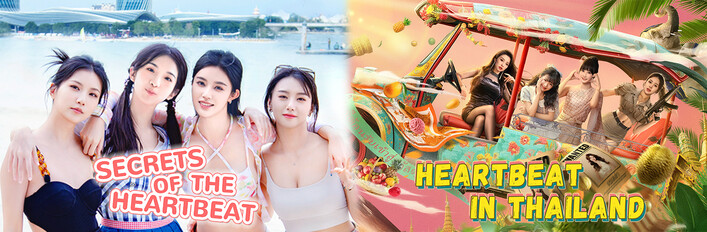 总裁的泰国心跳大冒险