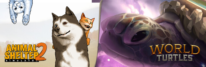 Turtles in Animal Shelter