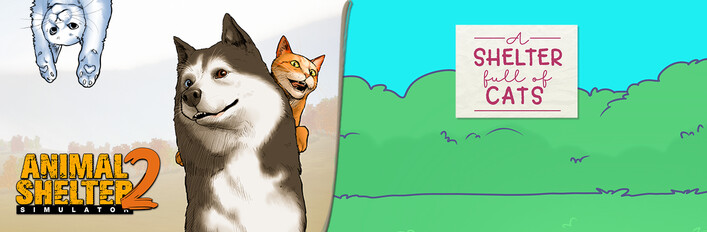 Animal Shelter Full of Cats
