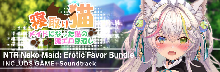 Erotic Favor bundle