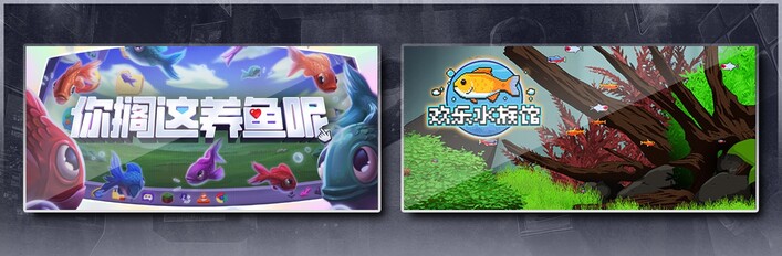 你搁这养鱼呢 & 欢乐水族馆